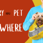 Traveling with Pets: The Ultimate Guide to Pet Backpacks